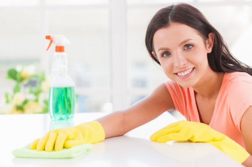 Professional oven cleaning in a Fulham kitchen