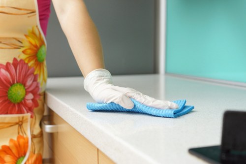 Cleaner ready to begin a professional domestic cleaning appointment