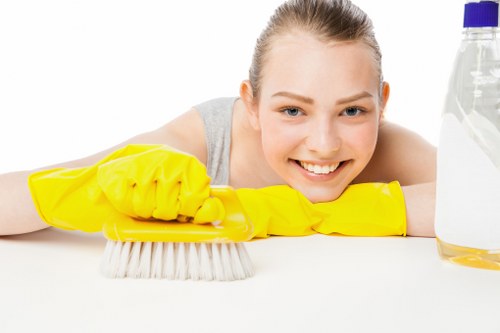 Professional cleaners in Fulham cleaning a modern home