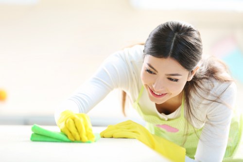Technician performing upholstery cleaning on a fabric sofa