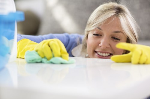 Payment and invoice details for a cleaning service