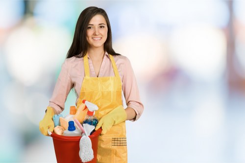 Record-keeping and quality improvement in cleaning services