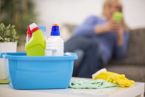 Domestic cleaning tools and supplies for a Fulham home