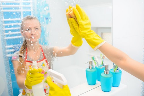 Regular domestic cleaning in a Fulham apartment