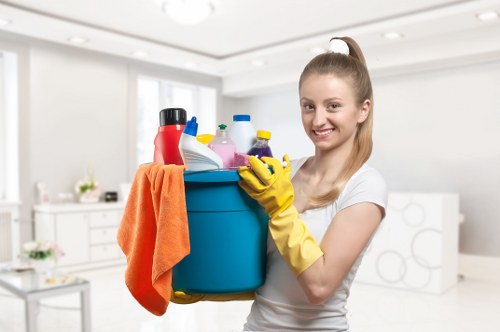 Deep carpet cleaning equipment used in a Fulham home