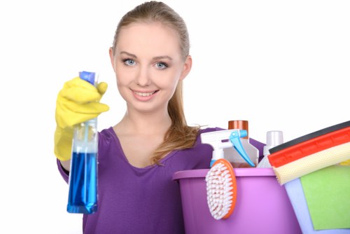 Accessible Fulham Cleaners online experience visual