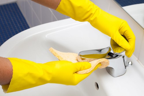 Bathroom refresh during a one off cleaning service in Fulham